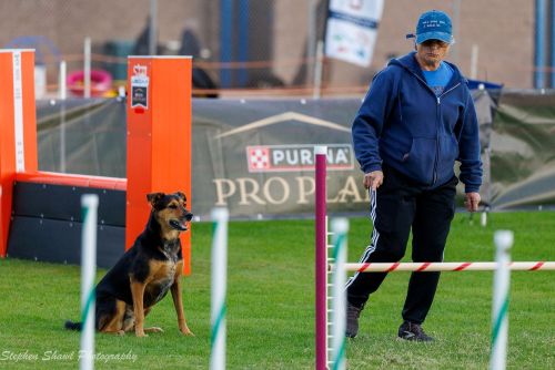 Jan Saylors and Chase - Stephen Shawl Photography 500