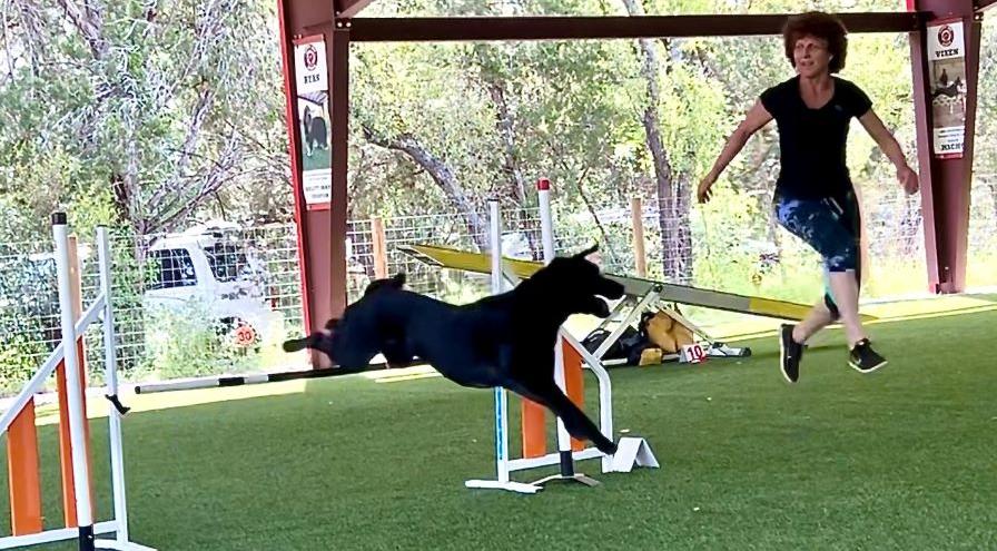 Jenni Westerfeld agility-hps