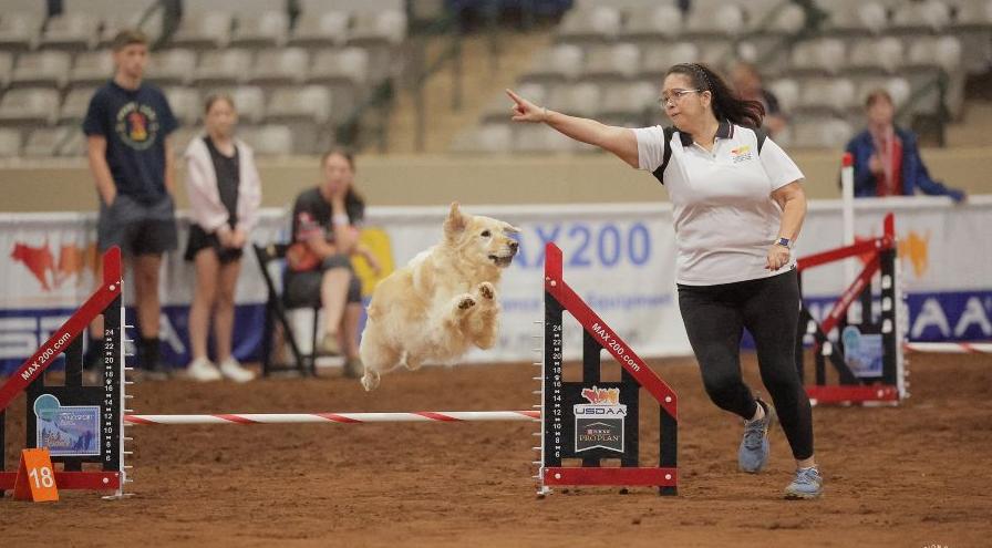 Jennifer Killinger and JJ - Cynosport 2025 - Great Dane Photos hps