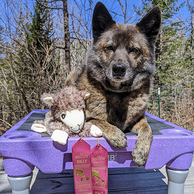 Juno with his prizes-WCRL-Chrystal Sherritt Cleary Juno with his prizes-WCRL-Chrystal Sherritt Cleary