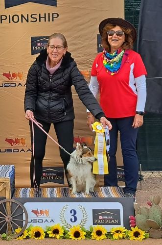 Karen Siebeck and Braveheart on the podium 500