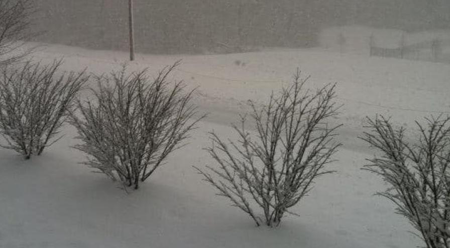 Laura Slusher snowy day hps