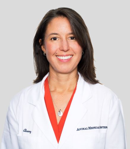 Leilani Alvarez_HeadShot 500