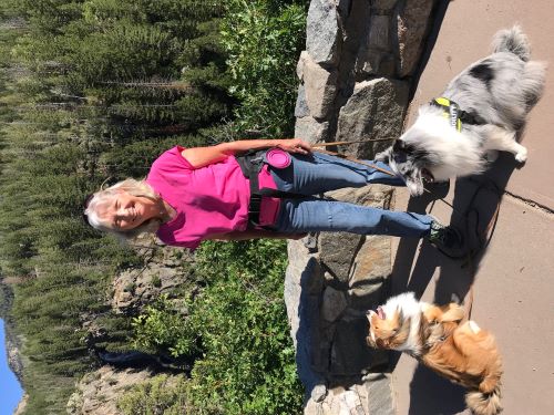 Leslie Sparrow with Skye and Shelby 500