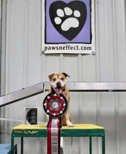 Liam-Stephanie Buchanan -Rally 1st breed teams - ARCHMX 500 Liam-Stephanie Buchanan -Rally 1st breed teams - ARCHMX 500