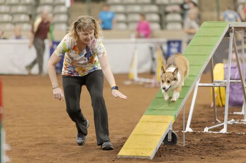 Lisa Pertile and Charlotte - Cynosport 2023 500