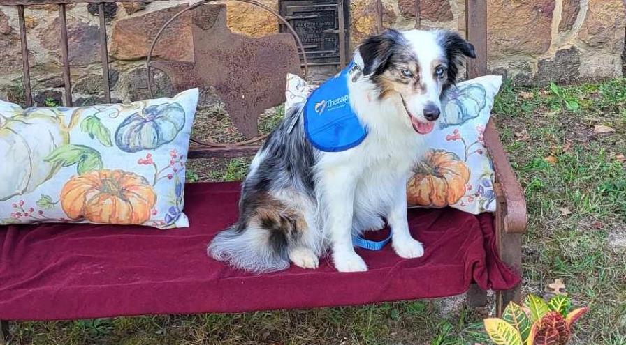 Lizzie-Therapet Of The Year-Claudia Schmitt hps Lizzie-Therapet Of The Year-Claudia Schmitt hps