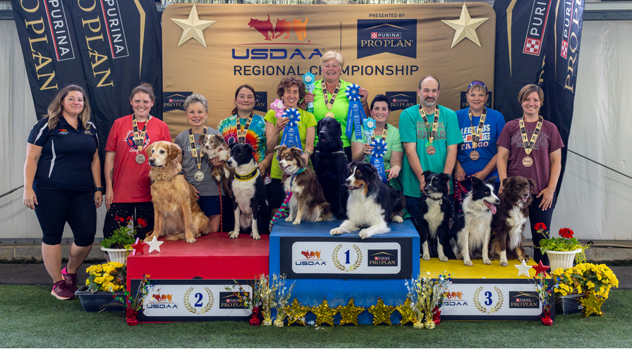 MAR-3DogTeam - HPS