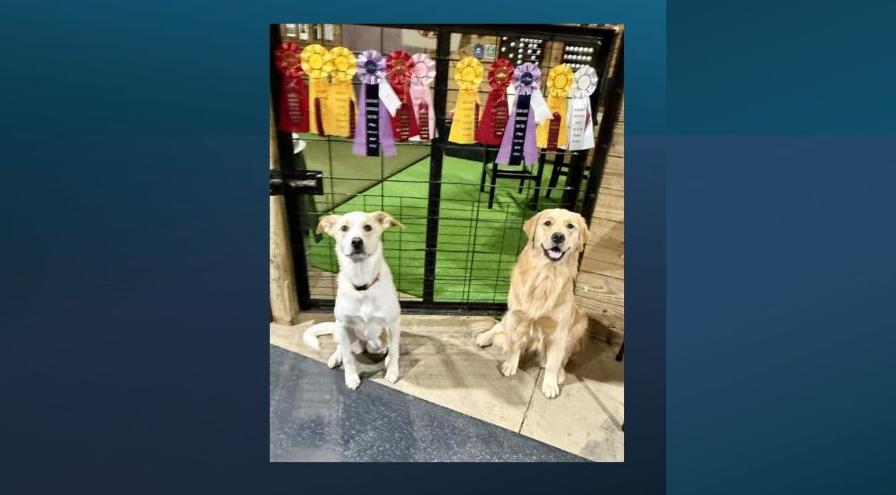 May and Kelce - first trial at Golden Acres hps