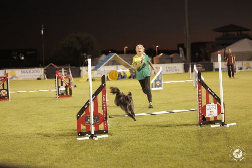 Pam Vojtas and Madeleine - GreatDanePhotos 500