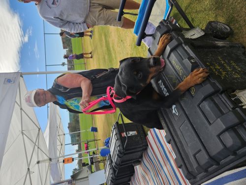 Paula Miloglav-Recco and C-YA at Cynosport 2024 - 500