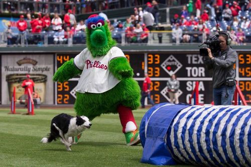 Philadelphia Phillies Phanatic and Mary Ellen Barry's  Z 500