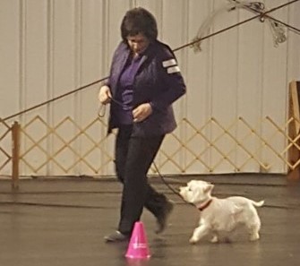 Phyllis Huber - rally volunteer of yr with dog