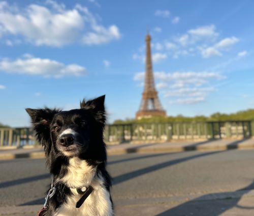 Prize at the Eiffel Tower - Kate Moureaux Prize at the Eiffel Tower - Kate Moureaux 500