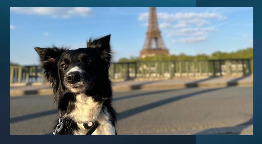 Prize at the Eiffel Tower - Kate Moureaux hps