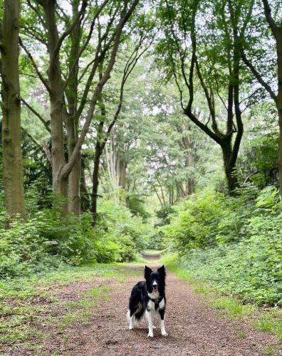 Prize on a hike - Kate Moureaux Prize on a hike - Kate Moureaux 500