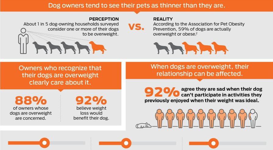 Purina_PPVD_Pet_Obesity_Consumer_Infographic hps