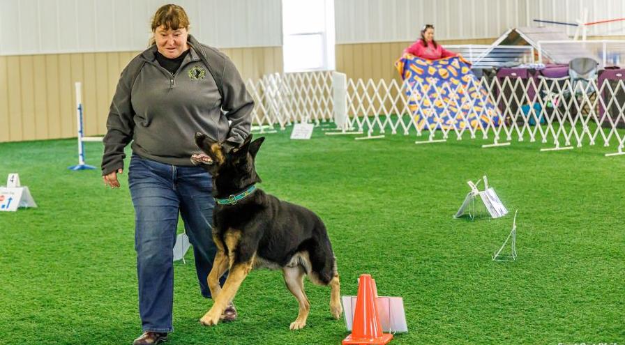 REACH K9 owner Bridgette Ashmore and Legend - Fast Cat Phil photo - hps