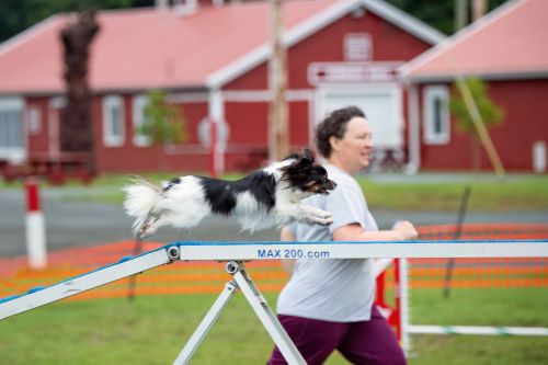 Rachel Molenaar and Hazel 500
