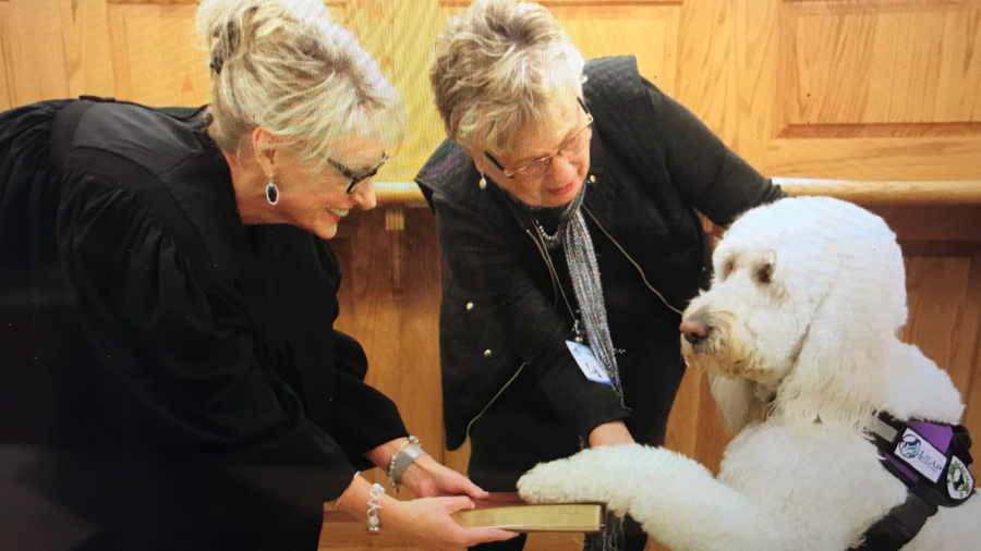 Rally-Chance gets sworn in - victim assistance dog in Nottoway County Attorney's Office hps