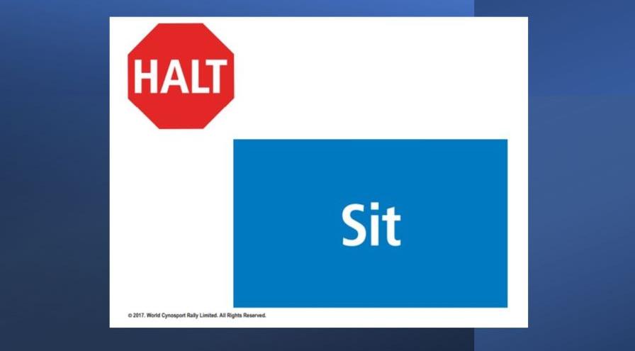 Rally Halt-sit sign hps