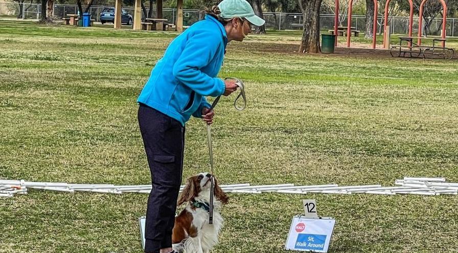 Rally at Cynosport-Cynologic Dog Sports hps