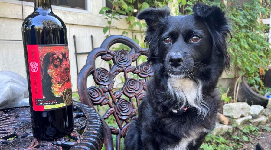 Rescue Dog Wines hps