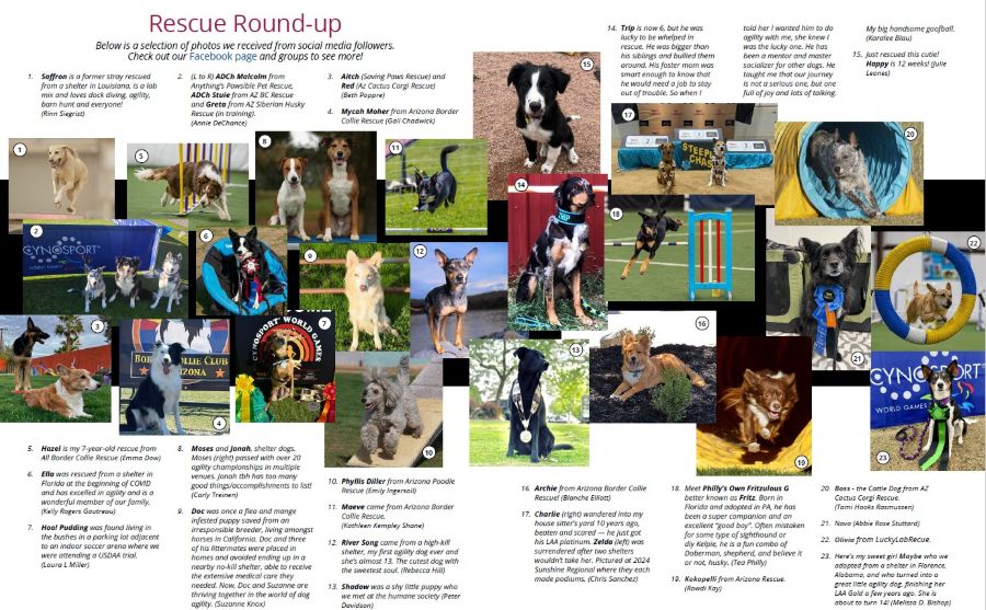 Rescue Roundup 900