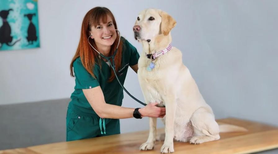 RuthAnn Lobos Purina senior veterinarian hps