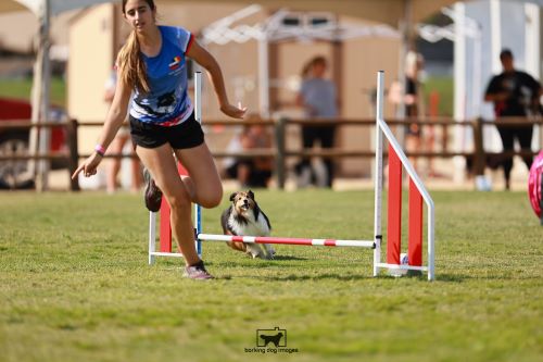 Rylee Harper jump - Barking Dog Images 500