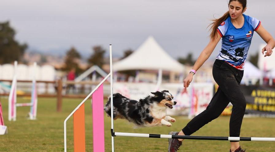 Rylee Harper jump - Barking Dog Images hps