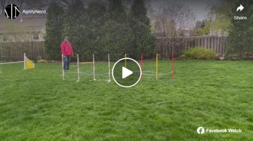S Schwarz weave session 8 500