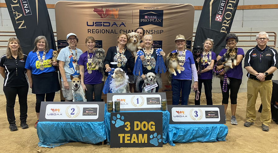 SSR-3-DOG-TEAM - HPS