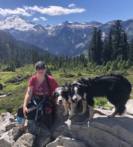 Sarah Stremming with Border Collies 500