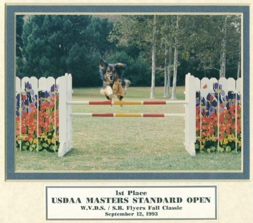 Shannon first place masters 1993 500