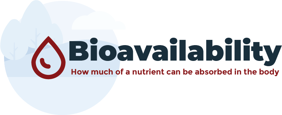 Supplement Bioavailability