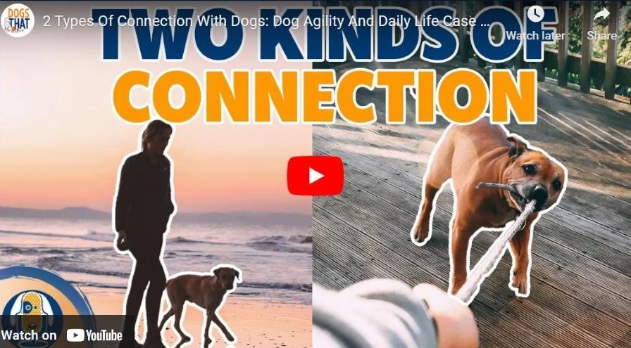 Susan Garrett Two Kinds of Connections hps
