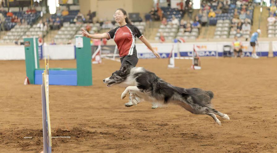 Sydney Ryan and Ego - GreatDanePhotos hps