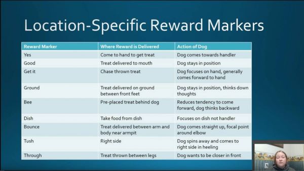 TT-Location specific reward markers chart-Nicole Wiesbusch TT-Location specific reward markers chart-Nicole Wiesbusch