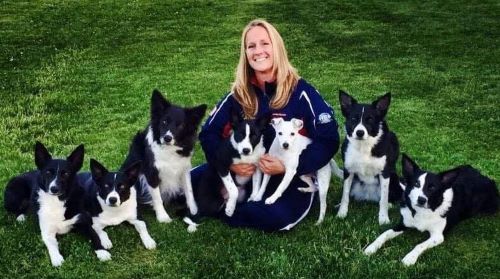 TT Loretta Mohler and dogs 500