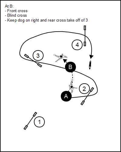 TT Steve Schwarz Backyard Mastery-all the crosses-handling jumps 2 and 3
