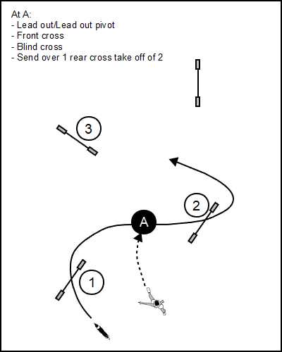 TT Steve Schwarz Backyard Mastery-all the crosses-handling the opening