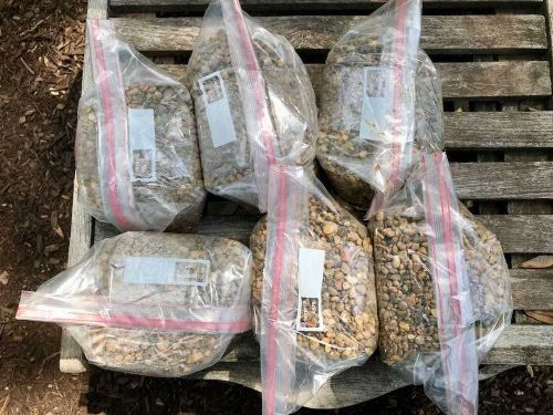 TT Steve Schwarz tunnel-bag-filling-filled-bags taped closed