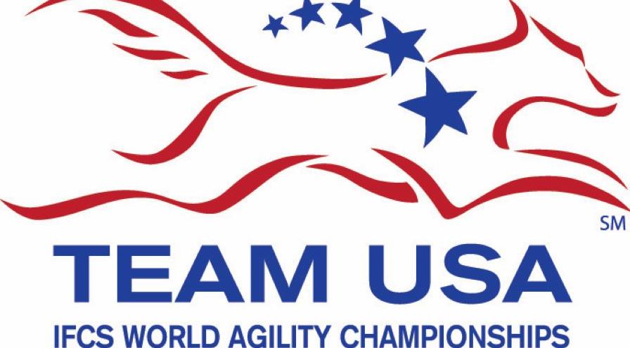 Team USA - White hps