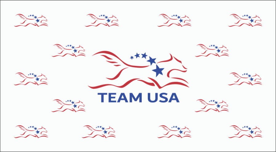 Team USA - HPS