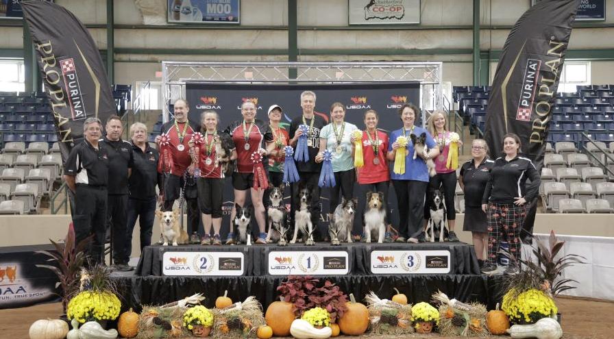 Three dog team champs - Cyno 2023 hps