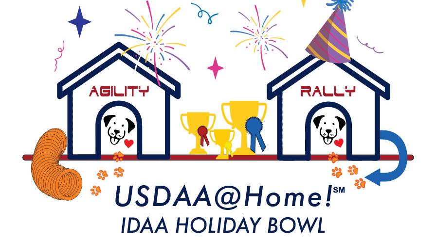 USDAA@Home!_HolidayBowl