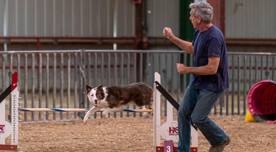 USDAA judge and competitor Dave Grems photo by Michael Falgoust hps