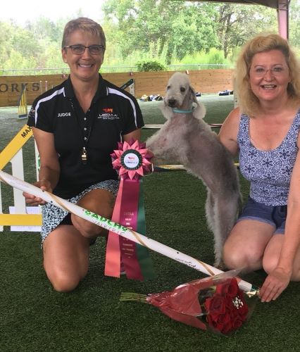 Valkyrie with her Agility Dog Champion Title Valkyrie with her Agility Dog Champion Title 500