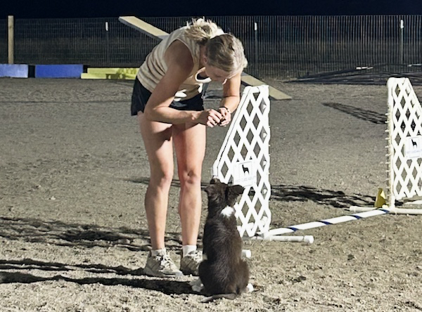 Why Foundations Matter at Every Level of Dog Agility - Ariticle Photo 3